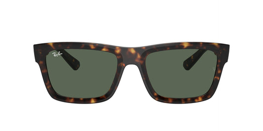 Lunettes de soleil Ray Ban RB 4396 Warren