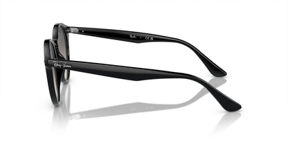 Lunettes de soleil RayBan 0RB2180