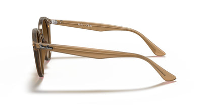 Lunettes de soleil RayBan 0RB2180