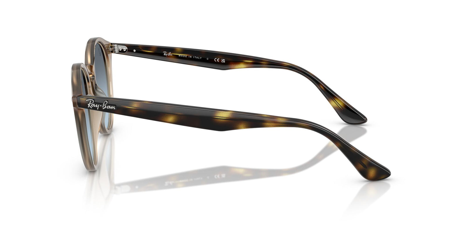 Ray-Ban RB 2180 Sunglasses
