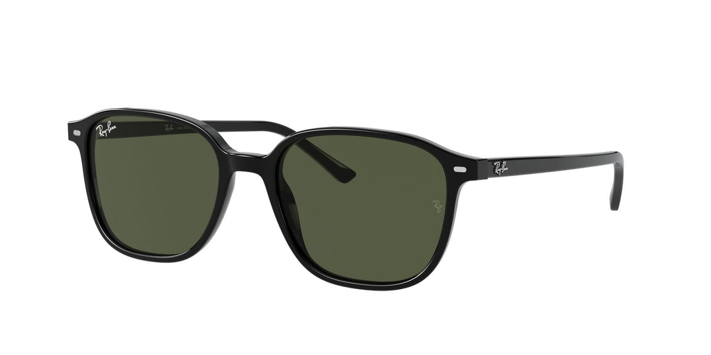 Lunettes de soleil Ray Ban Leonard RB 2193