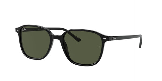 Lunettes de soleil RayBan 0RB2193 LEONARD