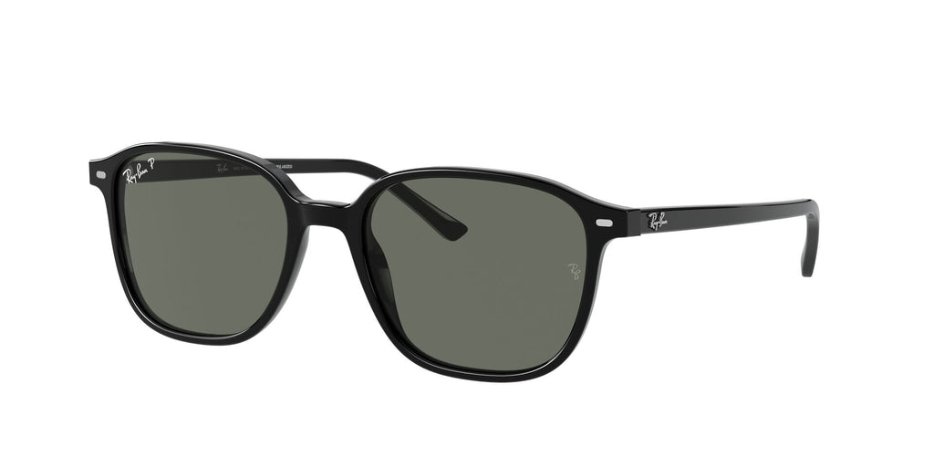 Lunettes de soleil Ray Ban Leonard RB 2193