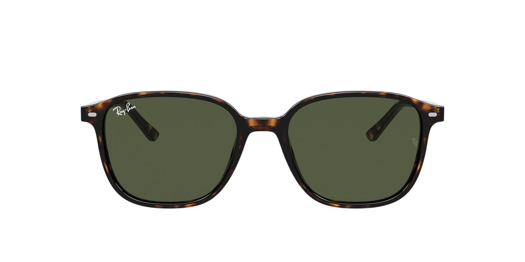Occhiali da sole Ray Ban Leonard RB 2193