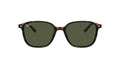 Occhiali da sole Ray Ban Leonard RB 2193