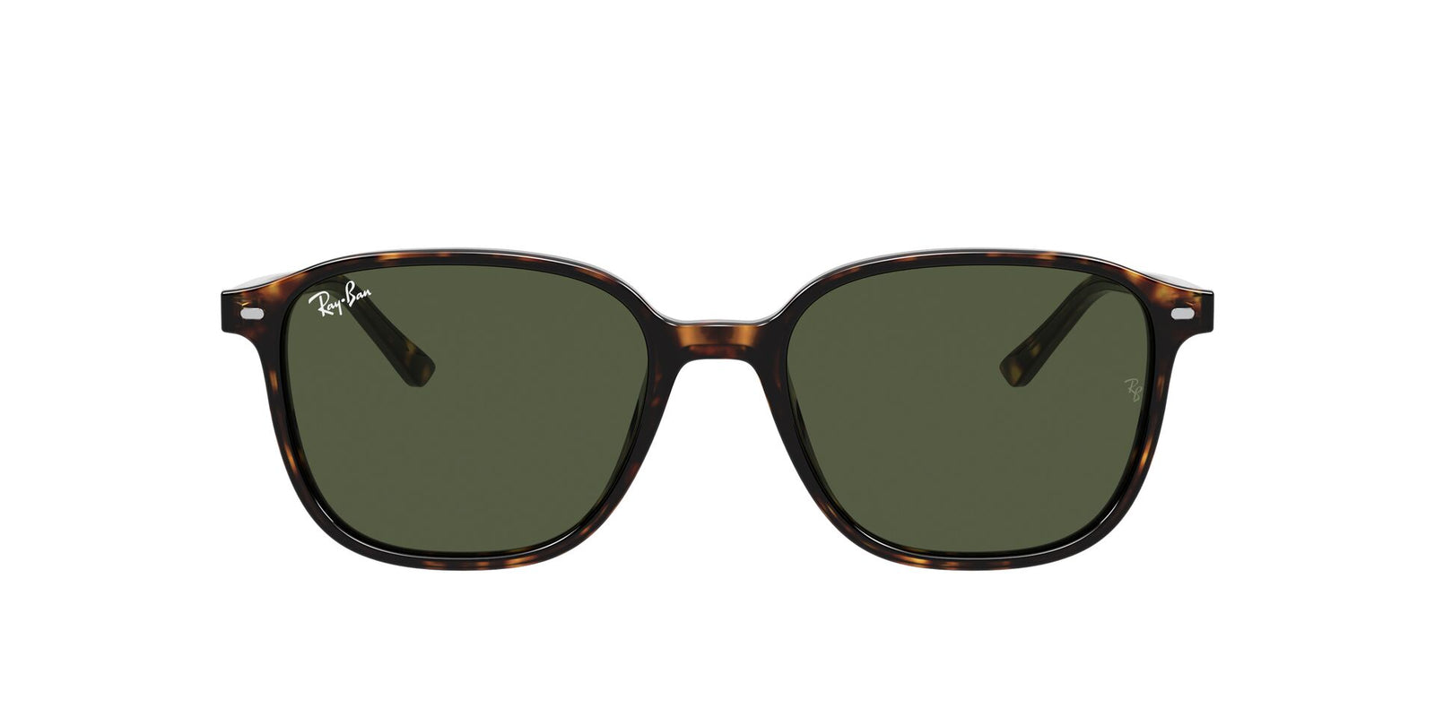 Ray-Ban Leonard RB 2193 Sunglasses