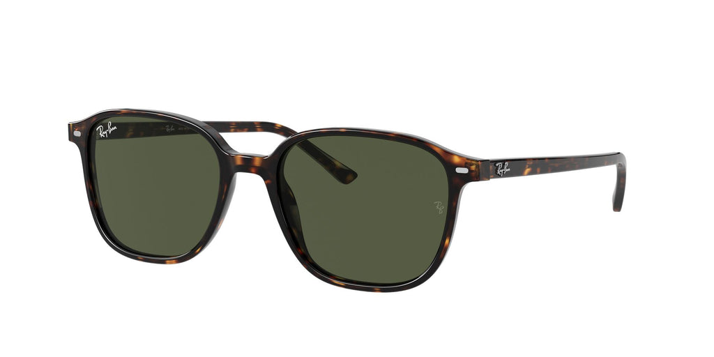 Occhiali da sole Ray Ban Leonard RB 2193