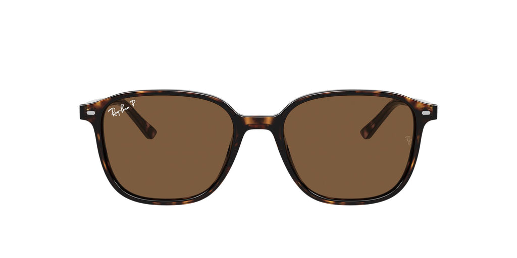 Lunettes de soleil Ray Ban Leonard RB 2193