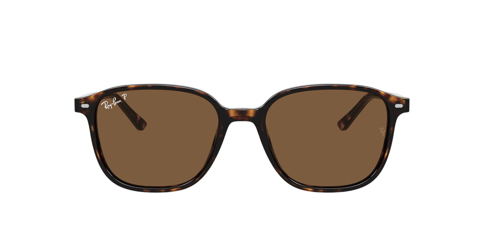 Ray Ban Leonard RB 2193 Sunglasses