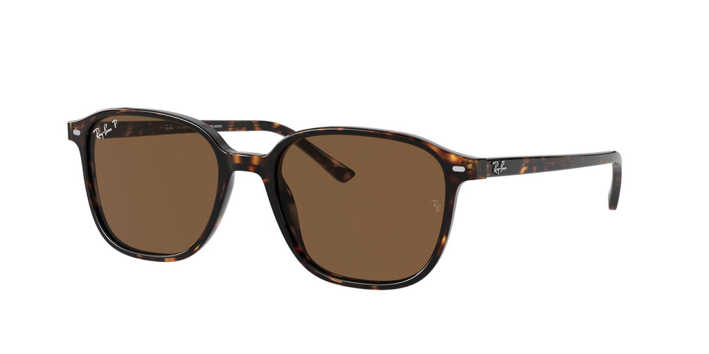 Lunettes de soleil Ray Ban Leonard RB 2193
