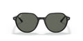 Occhiali da sole Ray Ban Thalia RB 2195