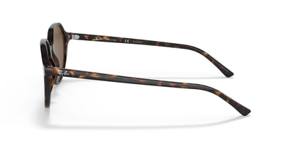 Lunettes de soleil RayBan 0RB2195 Thalia