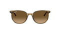 Lunettes de soleil Ray Ban Elliot RB 2197