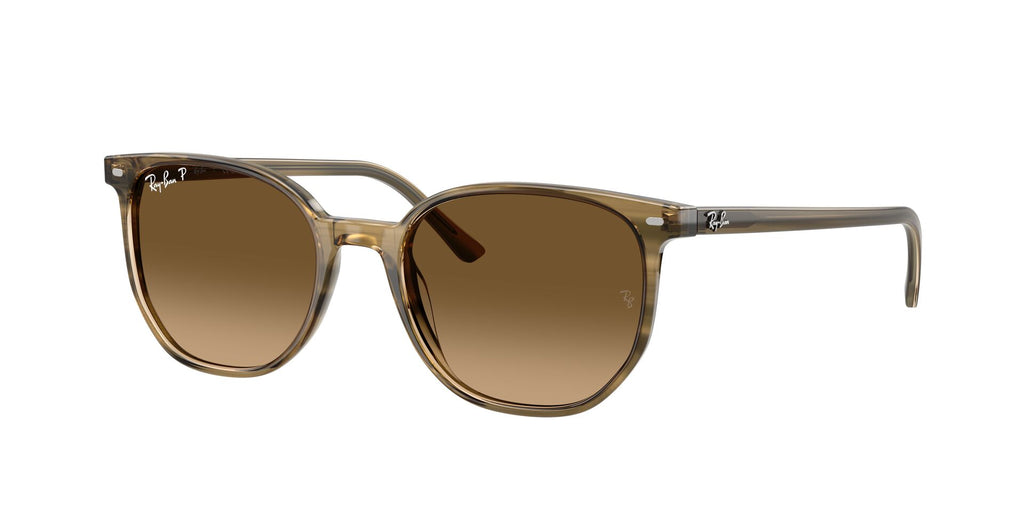 Lunettes de soleil Ray Ban Elliot RB 2197