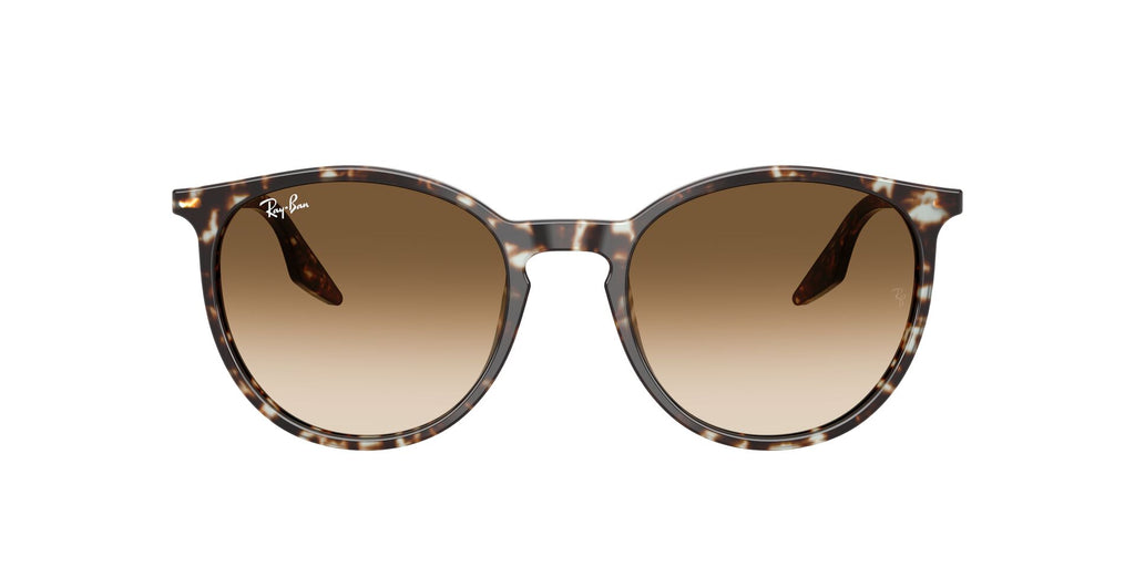 Occhiali da sole Ray Ban RB 2204
