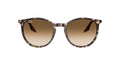 Occhiali da sole Ray Ban RB 2204