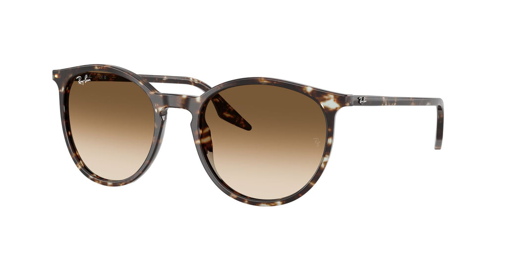 Occhiali da sole Ray Ban RB 2204