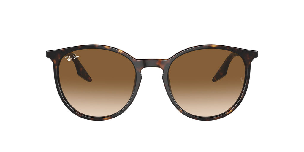 Lunettes de soleil Ray Ban RB 2204
