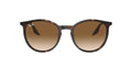 Lunettes de soleil Ray Ban RB 2204
