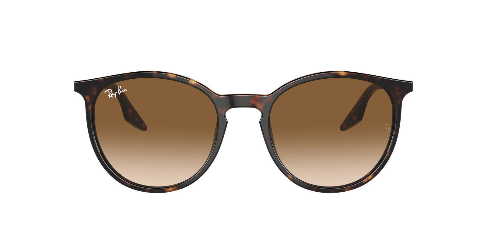 Ray-Ban RB 2204 Sunglasses