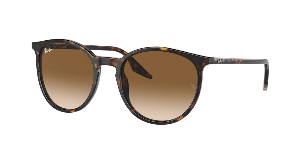 Lunettes de soleil Ray Ban RB 2204