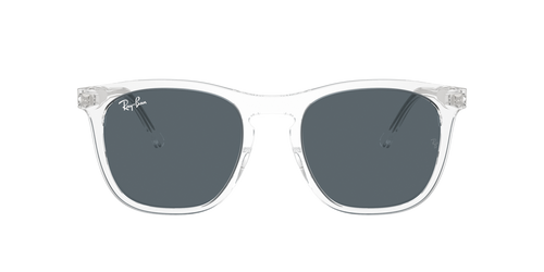 Occhiali da sole Ray-Ban Bill RB 2198