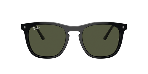 Occhiali da sole Ray-Ban Bill RB 2198