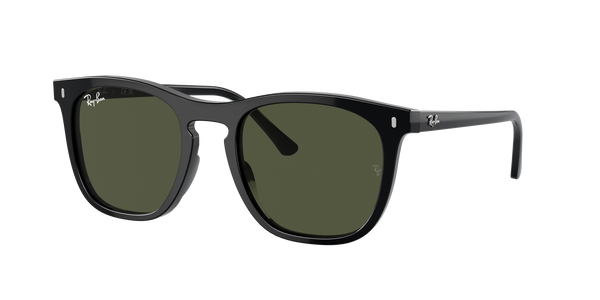 Occhiali da sole Ray-Ban Bill RB 2198