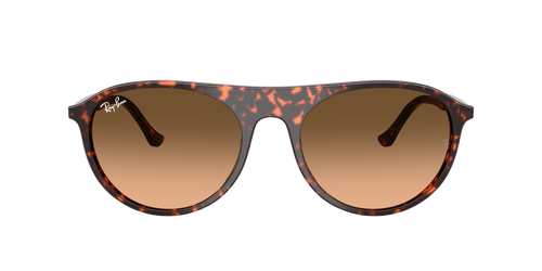Lunettes de soleil Ray Ban RB 2215