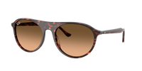 Occhiali da sole Ray Ban RB 4259