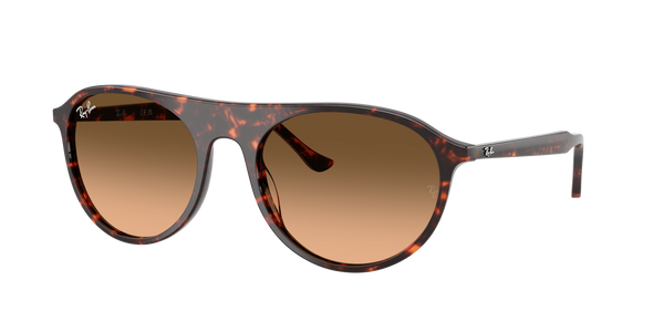 Lunettes de soleil Ray Ban RB 2215