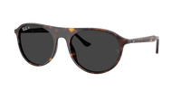 Occhiali da sole Ray Ban RB 4259