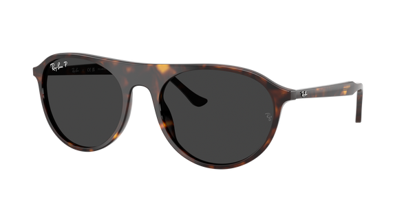 Lunettes de soleil Ray Ban RB 2215