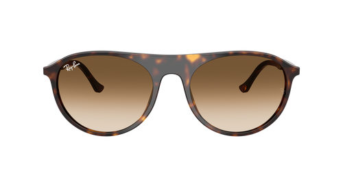Occhiali da sole Ray Ban RB 4259