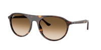 Occhiali da sole Ray Ban RB 4259