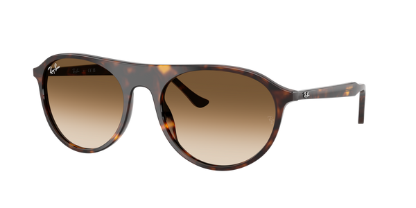 Lunettes de soleil Ray Ban RB 2215