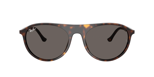 Lunettes de soleil Ray Ban RB 2215
