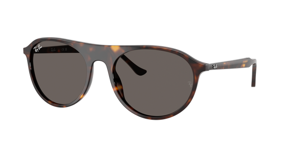 Lunettes de soleil Ray Ban RB 2215