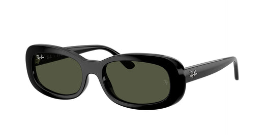 Lunettes de soleil RayBan 0RB2221