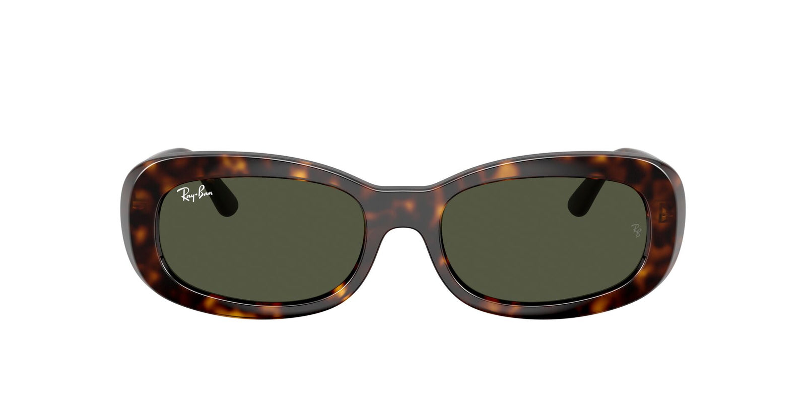 Ray Ban RB 2221 Sunglasses