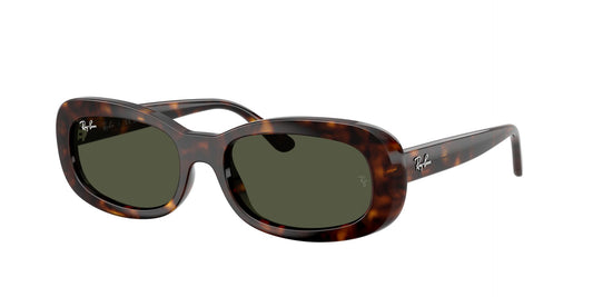 Lunettes de soleil RayBan 0RB2221