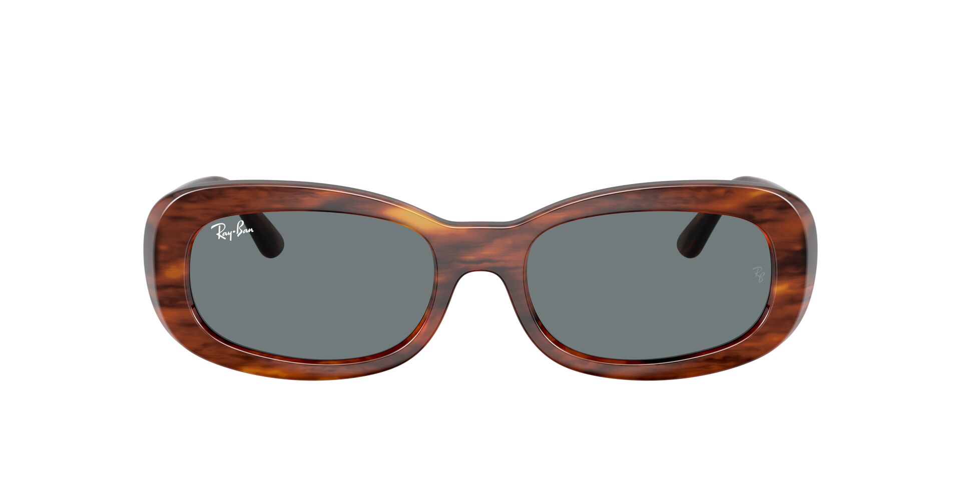 Lunettes de soleil Ray Ban RB 2221