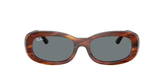 Lunettes de soleil RayBan 0RB2221