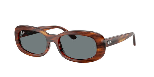 Lunettes de soleil RayBan 0RB2221