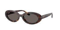 Occhiali da sole Ray-Ban Bill RB 2198