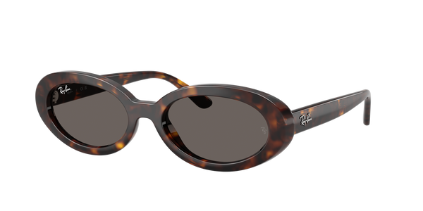 Occhiali da sole Ray-Ban Bill RB 2198