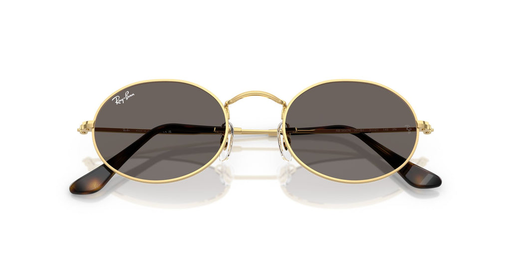 Occhiali da sole Ray-Ban Oval RB 3547N