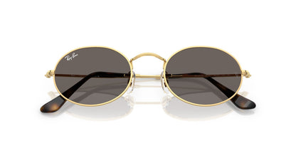 Lunettes de soleil RayBan 0RB3547N Oval