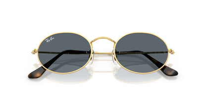 Lunettes de soleil RayBan 0RB3547N Oval