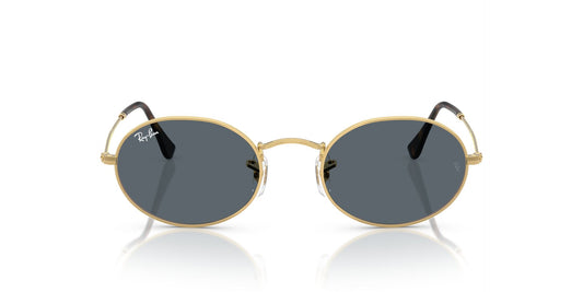 Lunettes de soleil RayBan 0RB3547N Oval